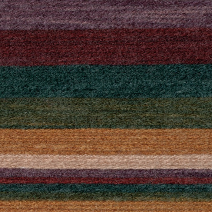 Lion Brand Mandala Yarn